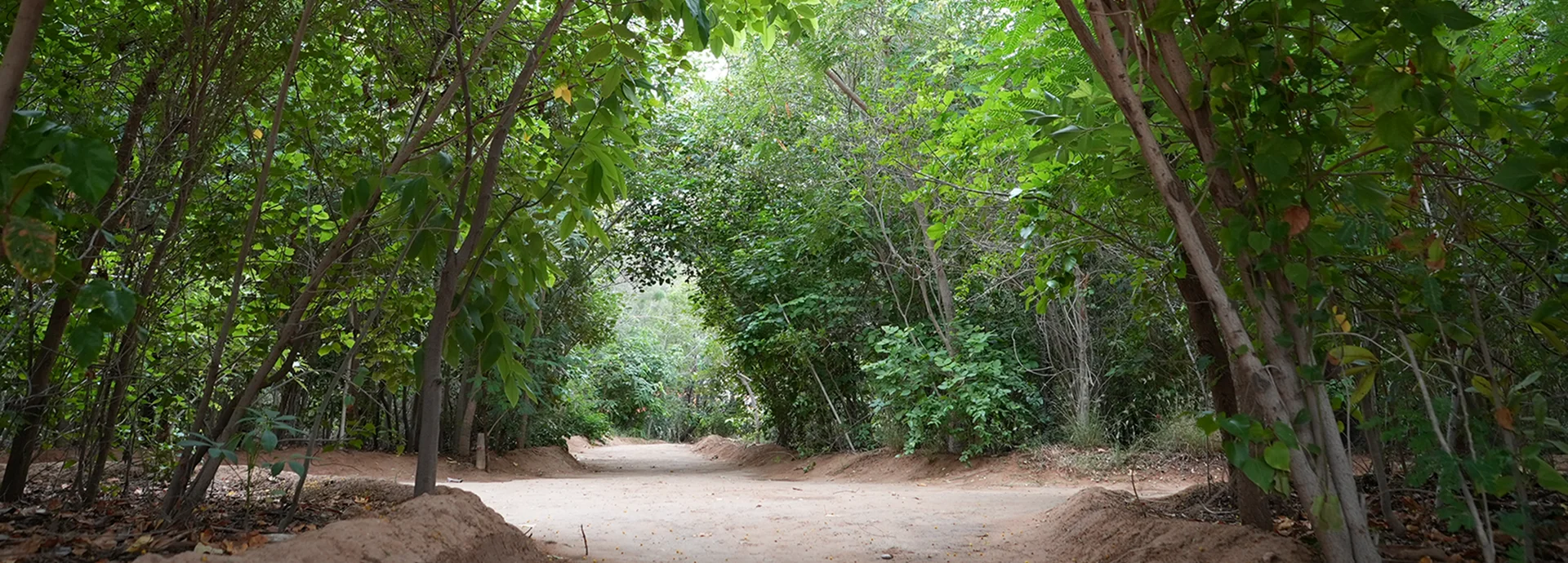 Our Workplaces and Communities